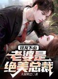 狂龙下山老婆是绝美总裁