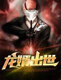 龙婿完结