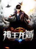 龙王神婿完结