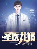 圣医龙婿辰风txt