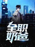 全职奶爸什么意思