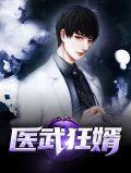 医武狂婿欲上青天