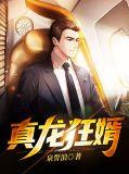 真龙狂婿 大师兄