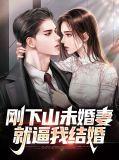 都市下山找未婚妻