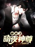 都市之暗夜神尊免费阅读
