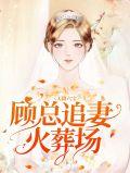 天降六宝总裁追妻火葬场