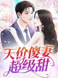 天价傻妃全集