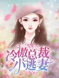 总裁的小逃妻冷少辰