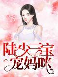 陆少三宝宠妈咪全文阅读
