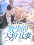 贺少宠妻有点甜免费阅读