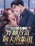 离婚后我带三宝炸翻首富前夫的集团在线观看
