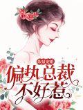限量宠婚偏执总裁不好惹宜熙傅庭深