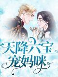 天降六宝追我妈咪请排队免费阅读全文