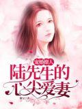 陆爷的心尖宠妻免费阅读