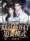陆少宠妻成瘾