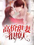 高价甜妻很撩人完整版
