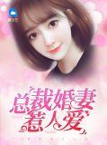 总裁婚妻惹人爱巧诗雨
