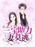 三宝助力妻莫逃txt