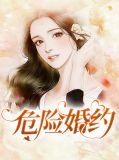 危险的婚姻完结版