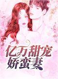 亿万甜宠娇蛮妻费阅读