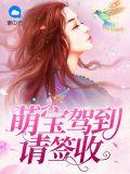 萌宝驾到请签收免费阅读