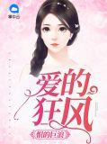 爱的狂怒这首歌表达了什么