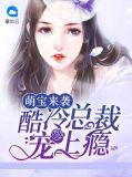 冷酷总裁的小萌宝