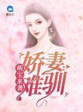 萌宝娇妻太难宠