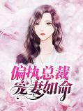 偏执总裁宠妻上瘾全文免费阅读第17章
