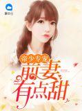 帝少专宠前妻有点甜