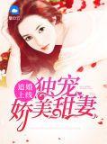 追婚免费阅读