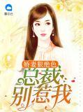 总裁娇妻别撒娇