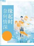 奈何情深缘浅免费阅读