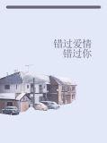 错过爱情错过你叶宋