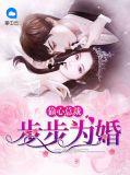 偷心总裁宠不停全文免费