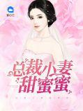 总裁的小妻子
