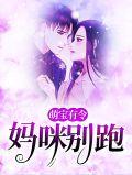 萌宝逮捕令妈咪你别逃 夜寒