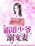 霸道少爷的独宠