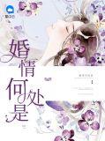 婚情何处是全文阅读