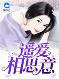 遥相相望的意思是什么