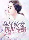 坏坏美妻甜甜宠