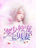 独宠萌宝梁少你走开