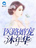 免费阅读医婚