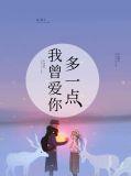 我曾爱你什么意思