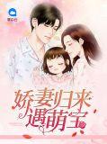 娇妻携宝归来
