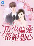 厉少偏爱小甜妻厉夜廷
