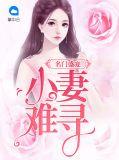 名门小妻疼入骨