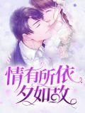 情有所依下一句