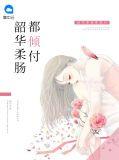 韶华倾负下一句怎么对