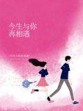 今生与你再相遇伤感歌